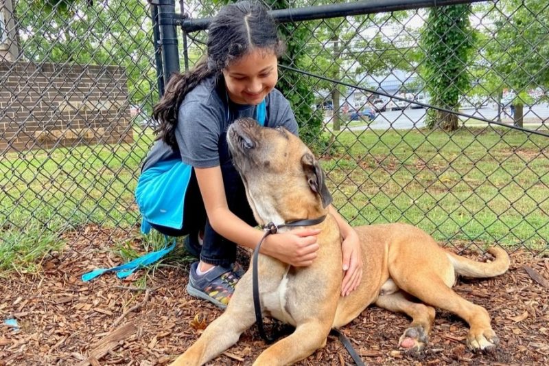 Raising Kids and Pets Together Safely