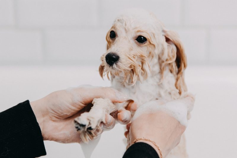 How Exercise Impacts Long-Term Health