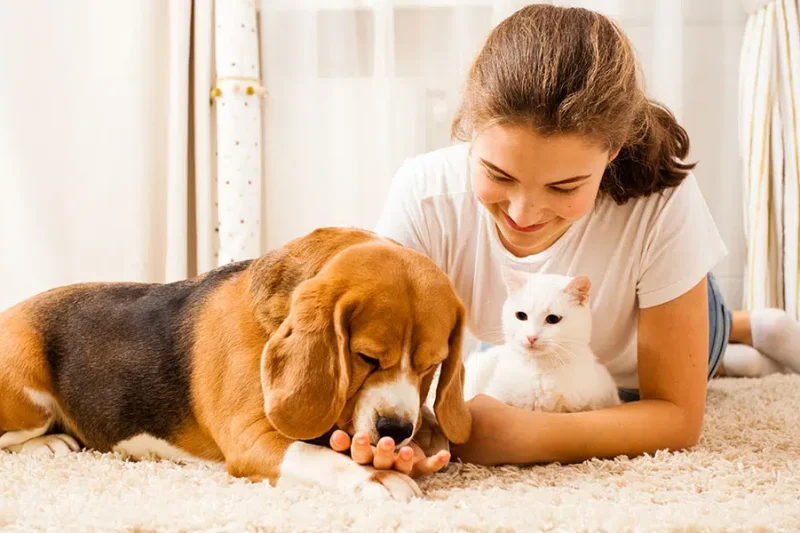 Skin Issues in Pets: Causes and Treatments